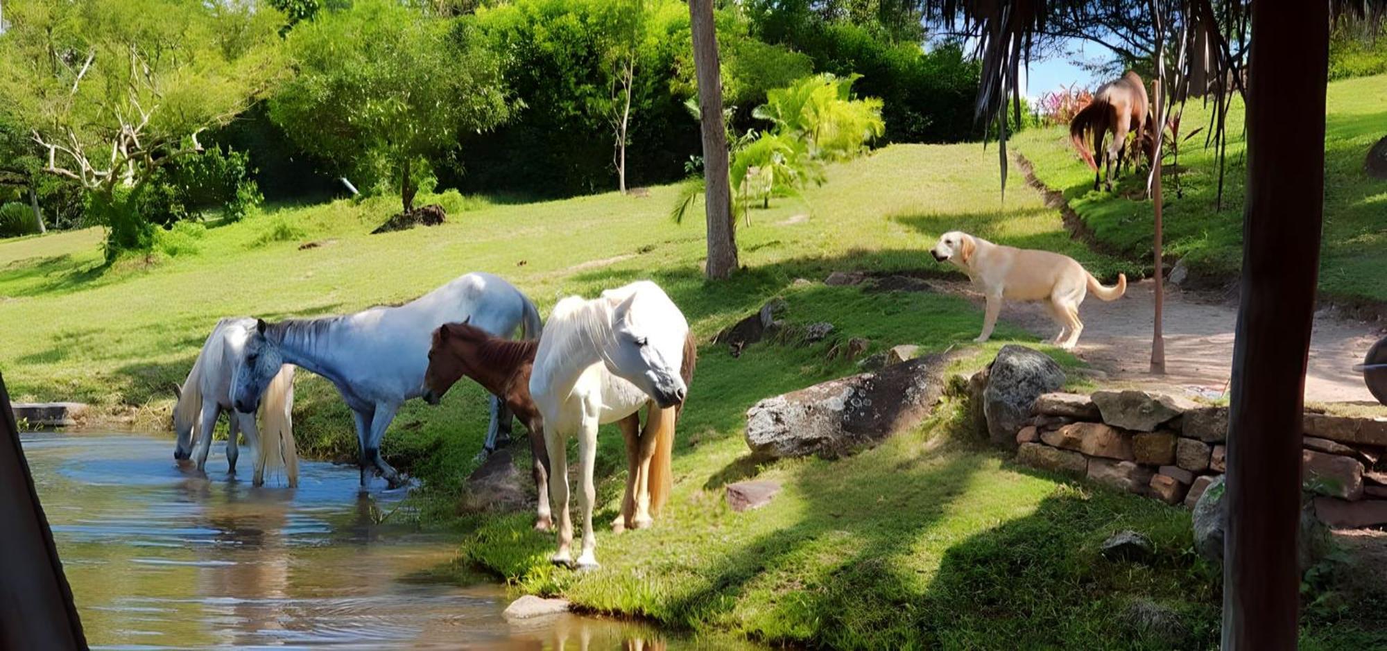 Lagoon Village B&B Y Spa Tarapoto Zewnętrze zdjęcie